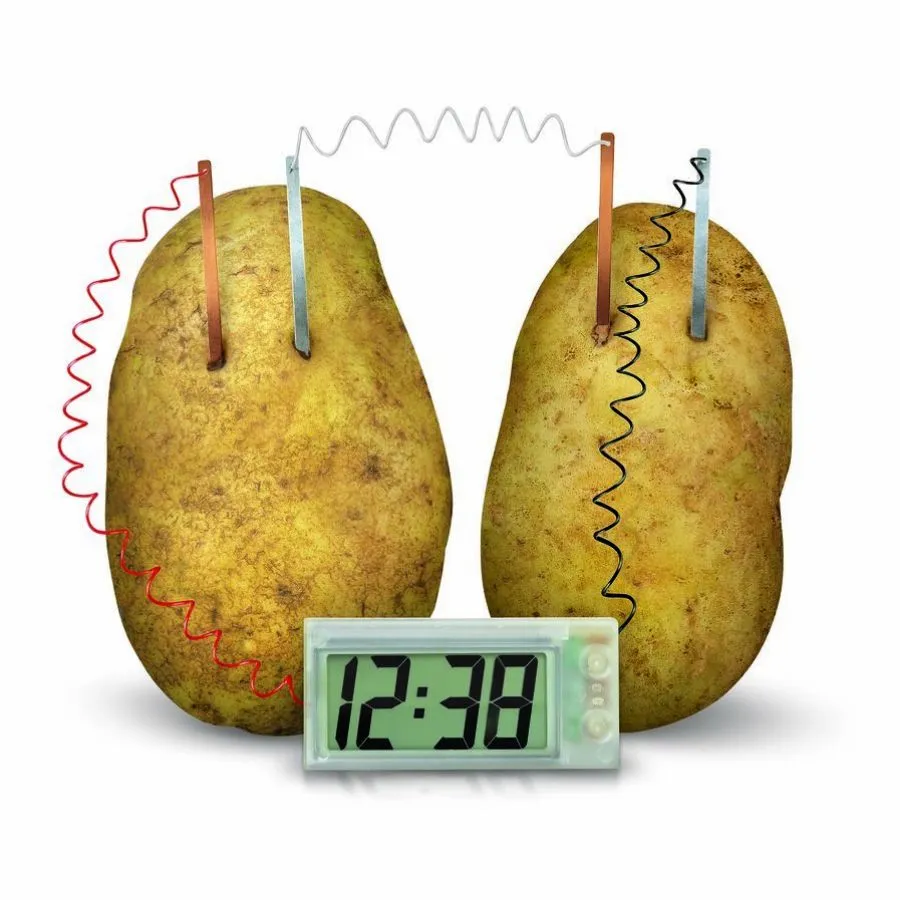 4M - Green Science: Potato Clock