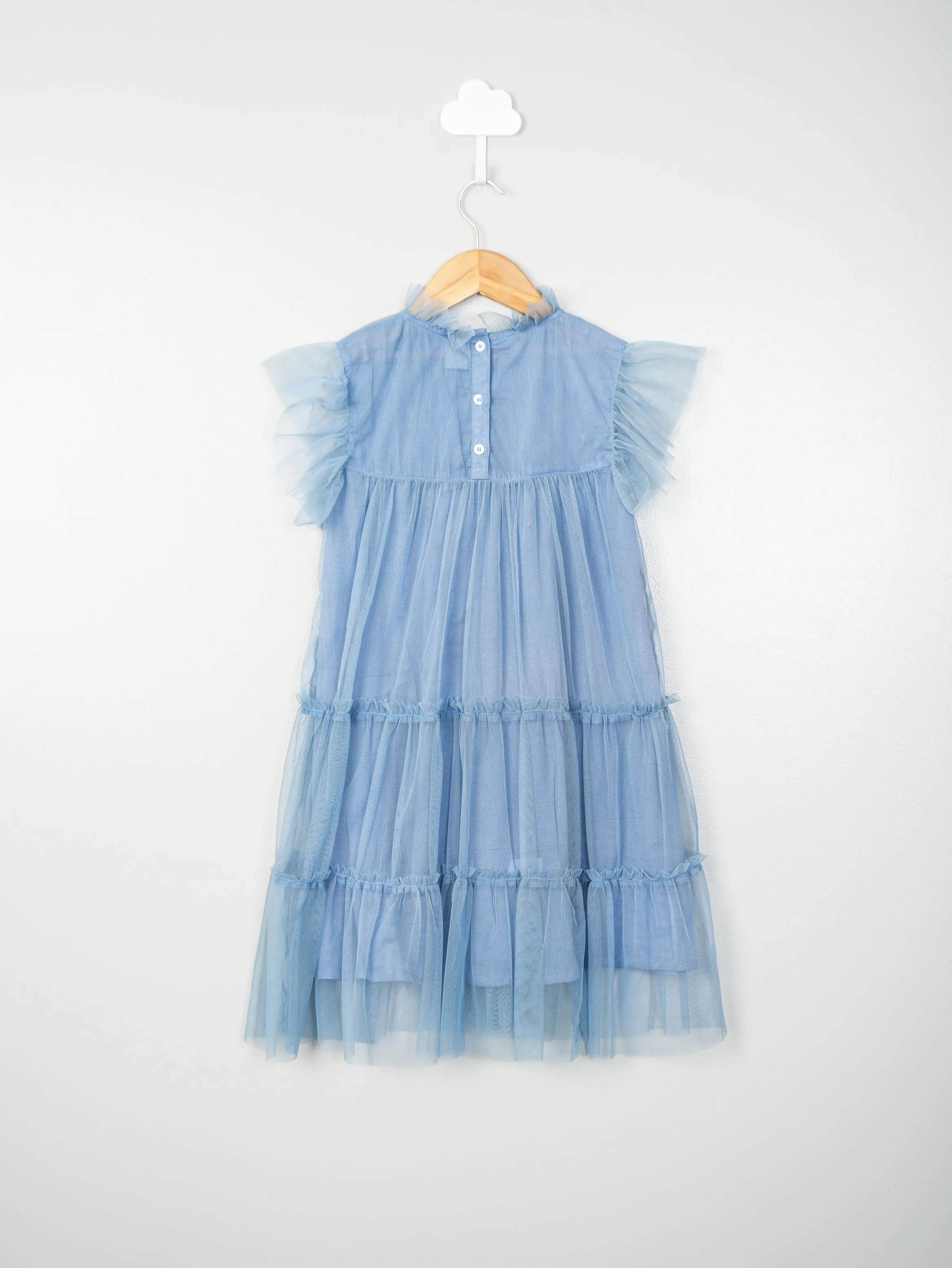 Blue Tulle Embroidery Dress