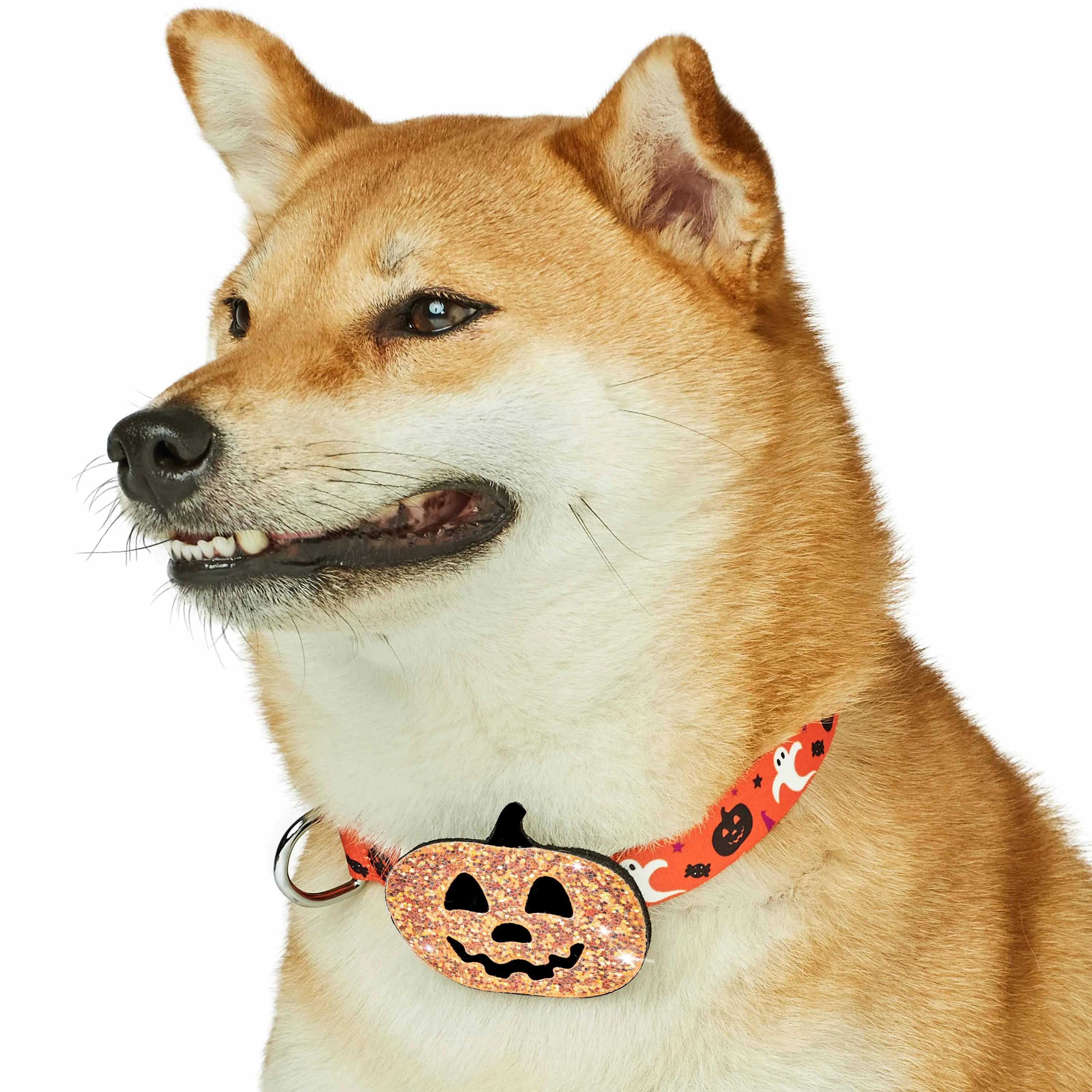 Halloween Party Dog Collar with Pumpkins, Bats and Ghosts Design